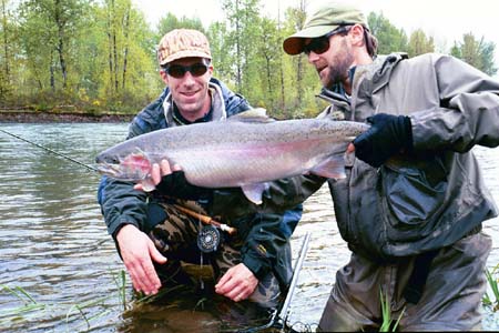 Winter hen steelhead from the Willamette River