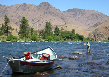 Deschutes River trout